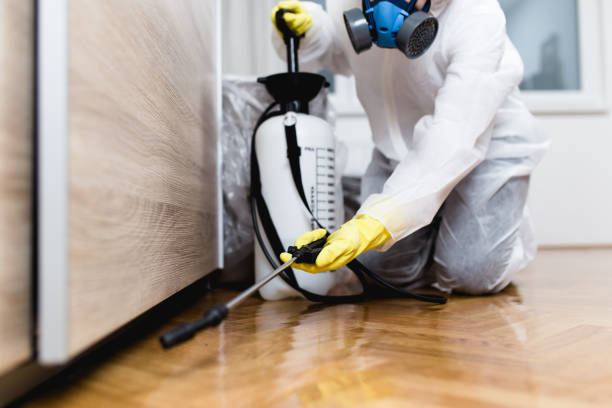 Best Pest Removal Services  in Delano, MN