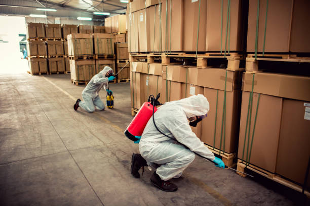 Best Flea Control Services  in Delano, MN