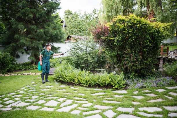 Best Cockroach Control Services  in Delano, MN