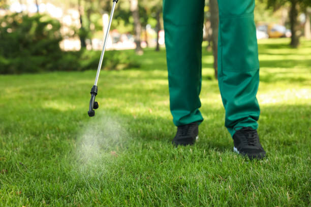 Best Emergency Pest Control  in Delano, MN