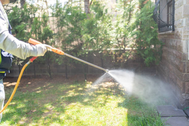 Best Wildlife Control Services  in Delano, MN