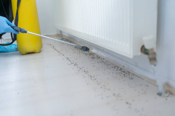 Best Best Pest Control Companies  in Delano, MN