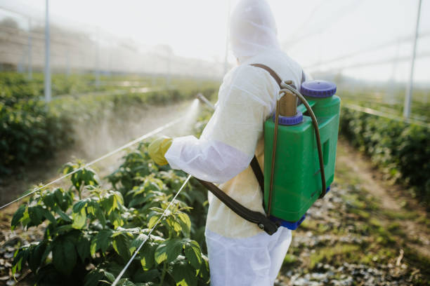 Best Pest Control Near Me  in Delano, MN